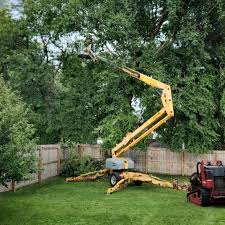 Lawn Watering Services in Bear Creek, FL