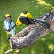 Best Lawn Watering Services  in Bear Creek, FL